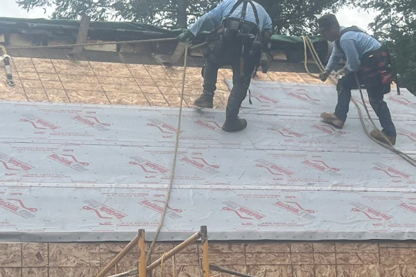 Salinas General Contractor LLC's other services